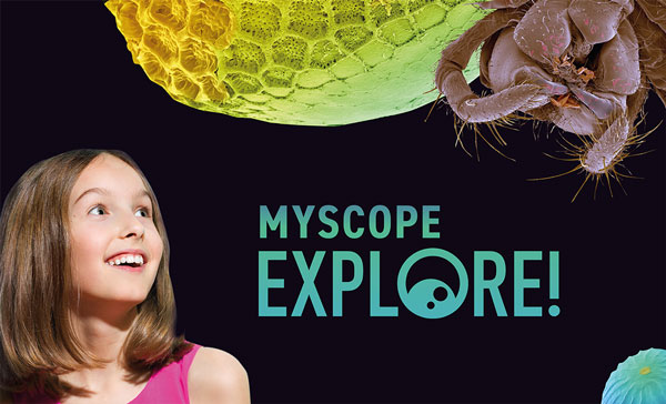 banner advertisement